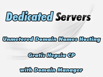 Moderately priced dedicated servers hosting services